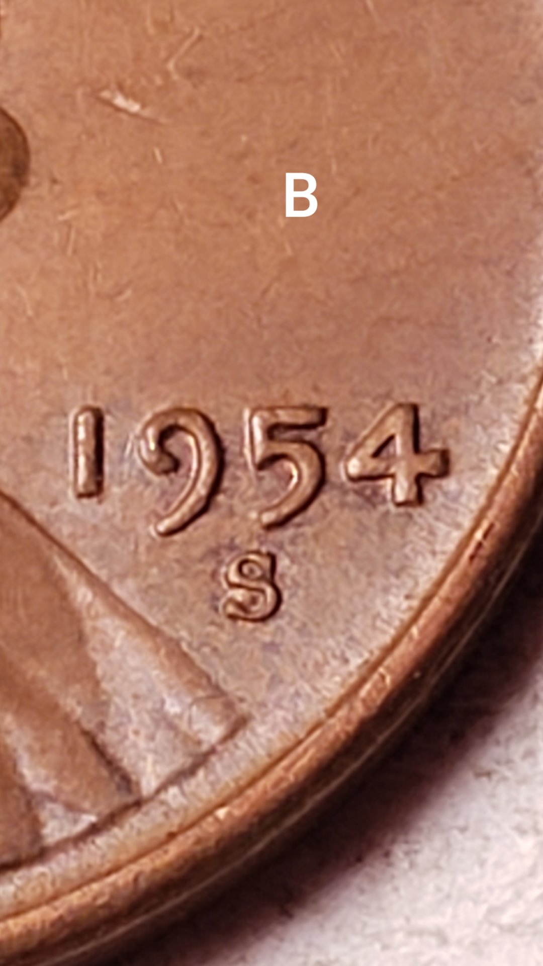 20190707_144302.jpg