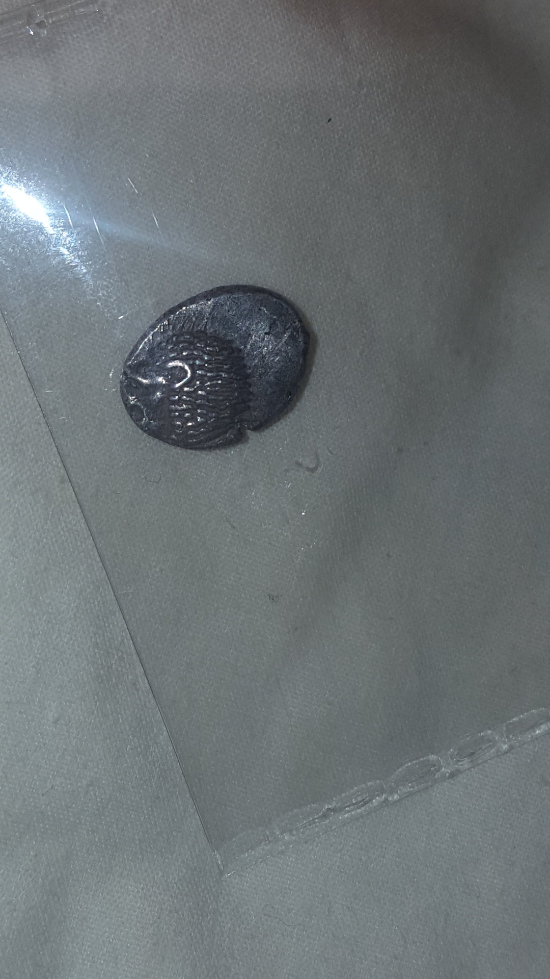 20190707_155245.jpg