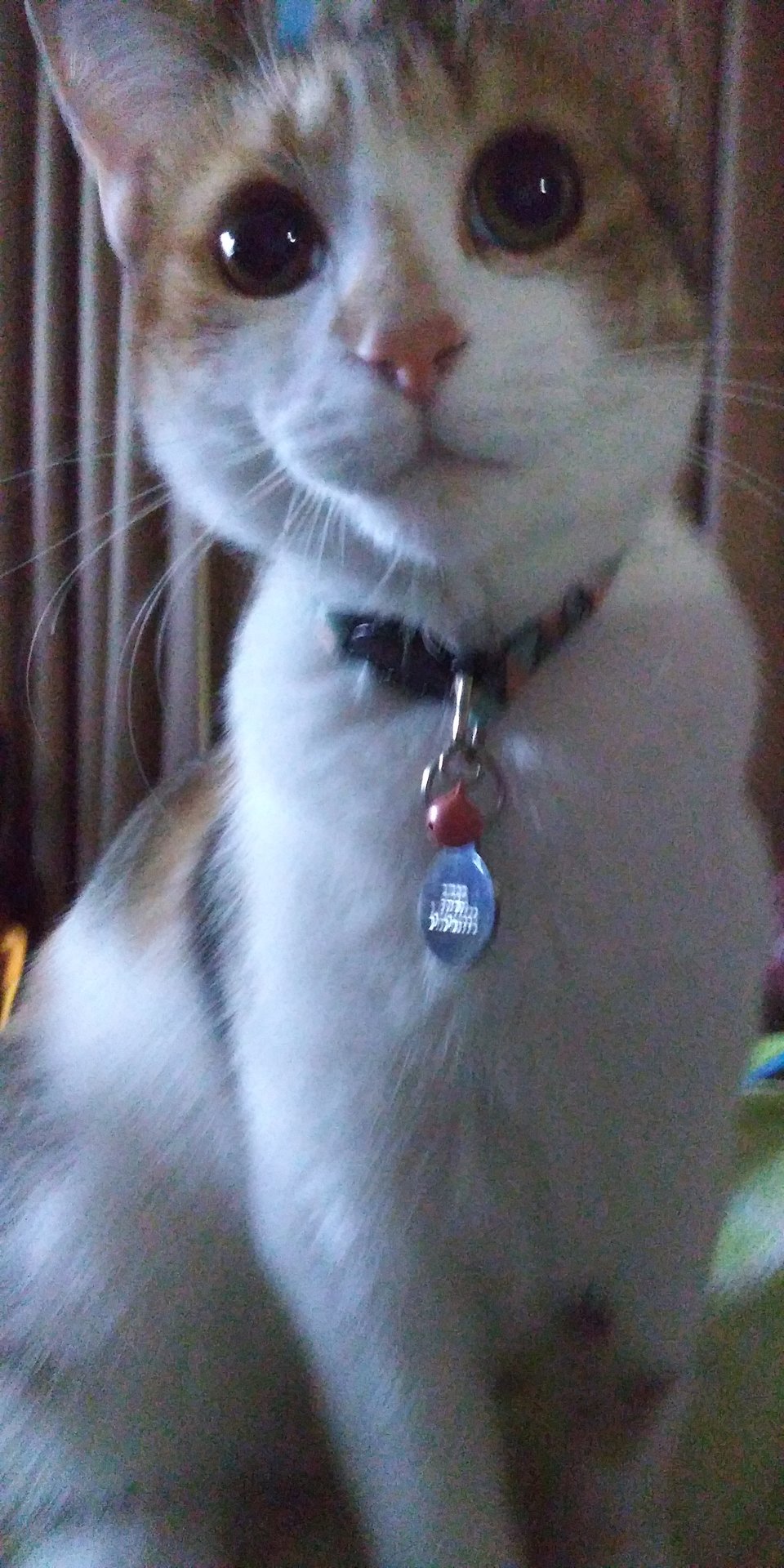 20190708_215323.jpg