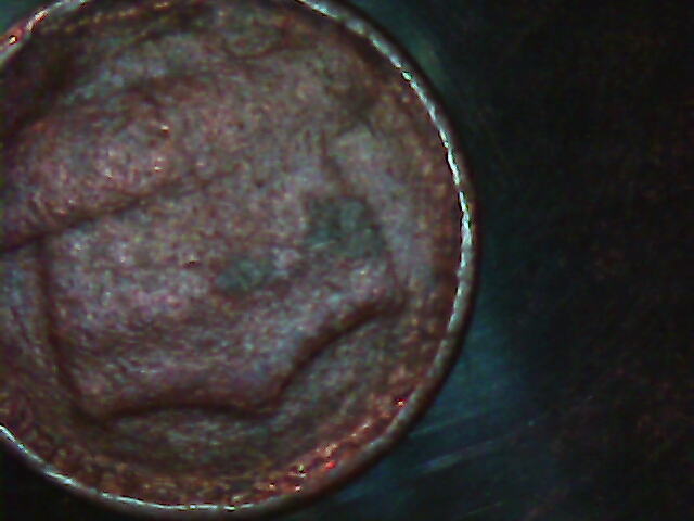 20190710_133016.jpg