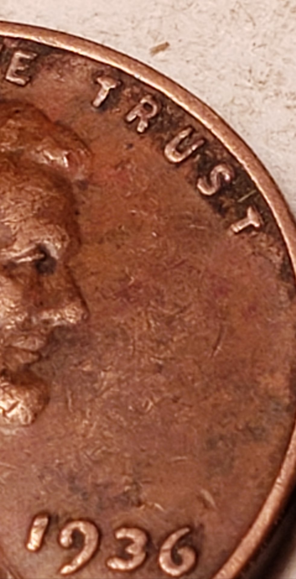 20190715_171303.jpg