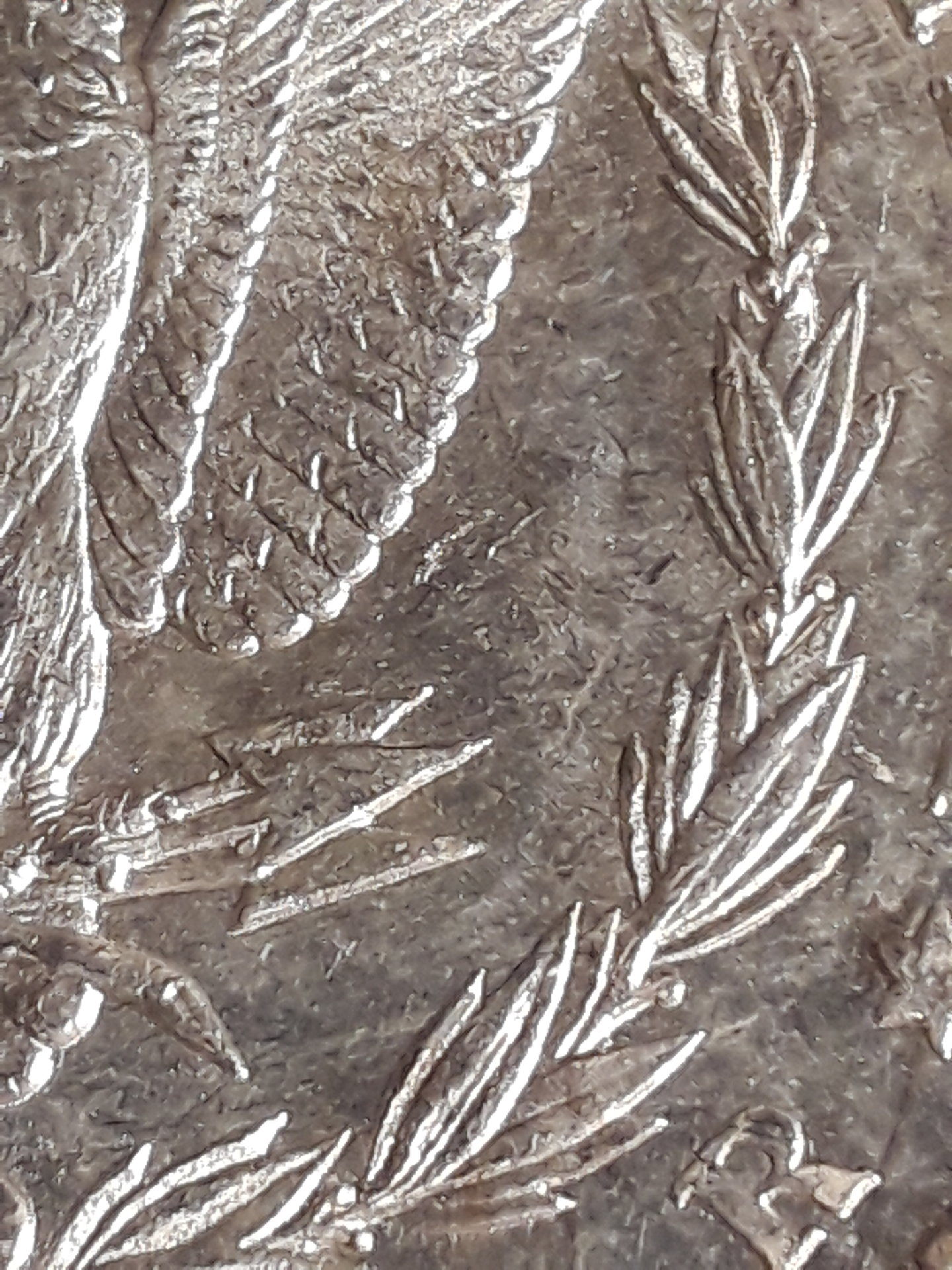 20190716_181914.jpg