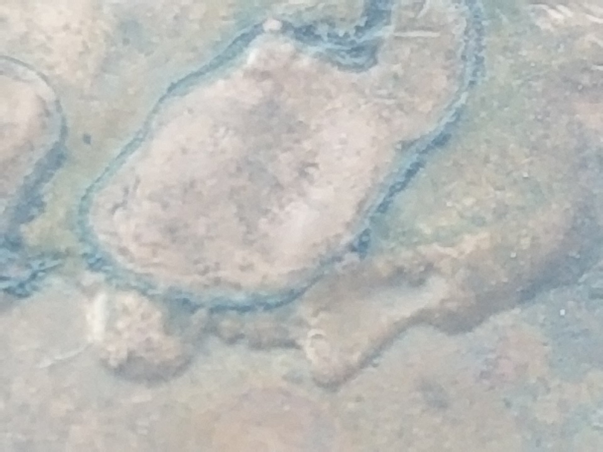 20190718_125531.jpg