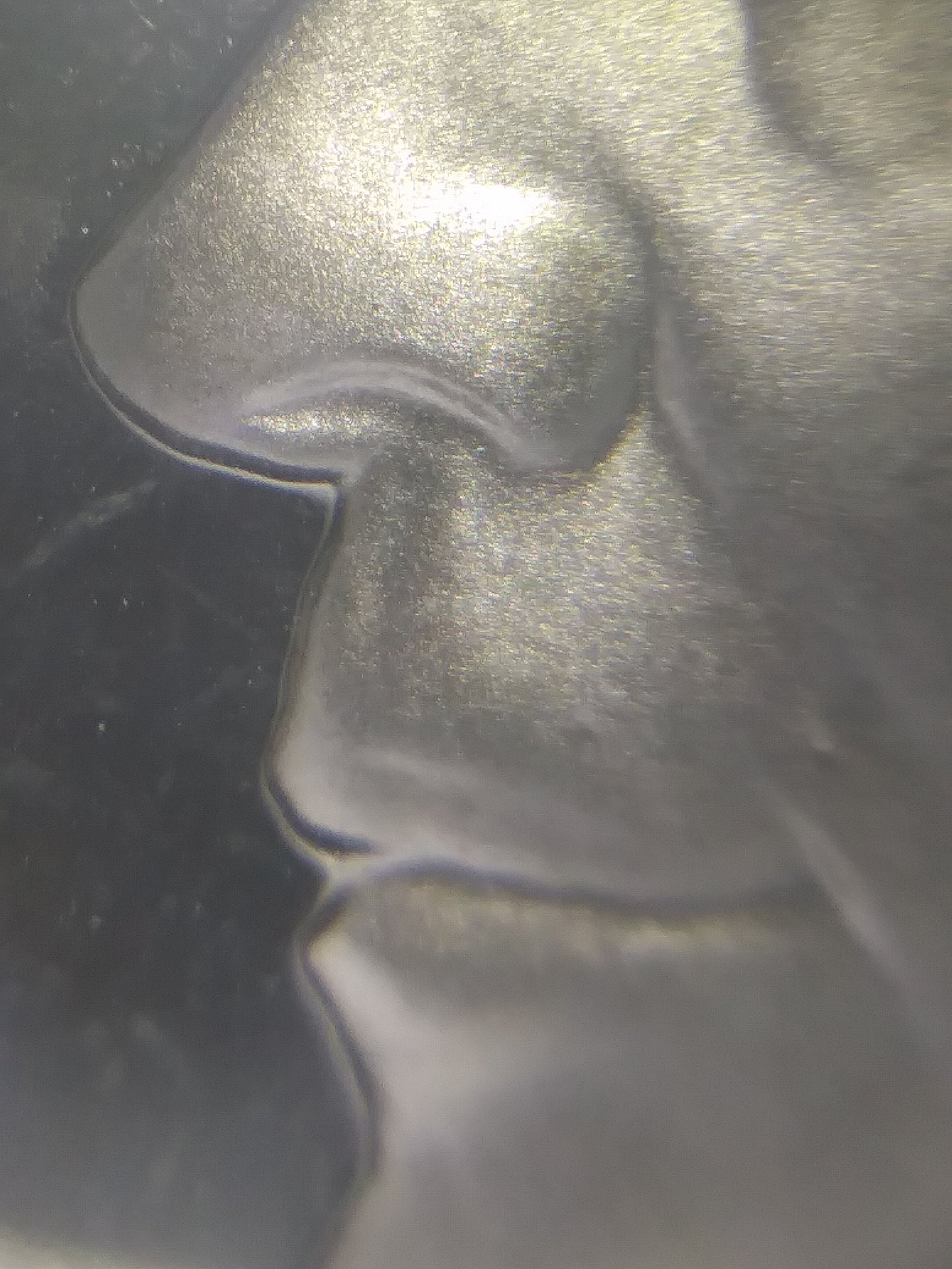 20190721_125125.jpg