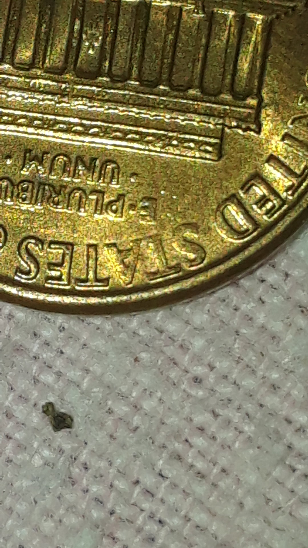 20190724_044154-0.jpg