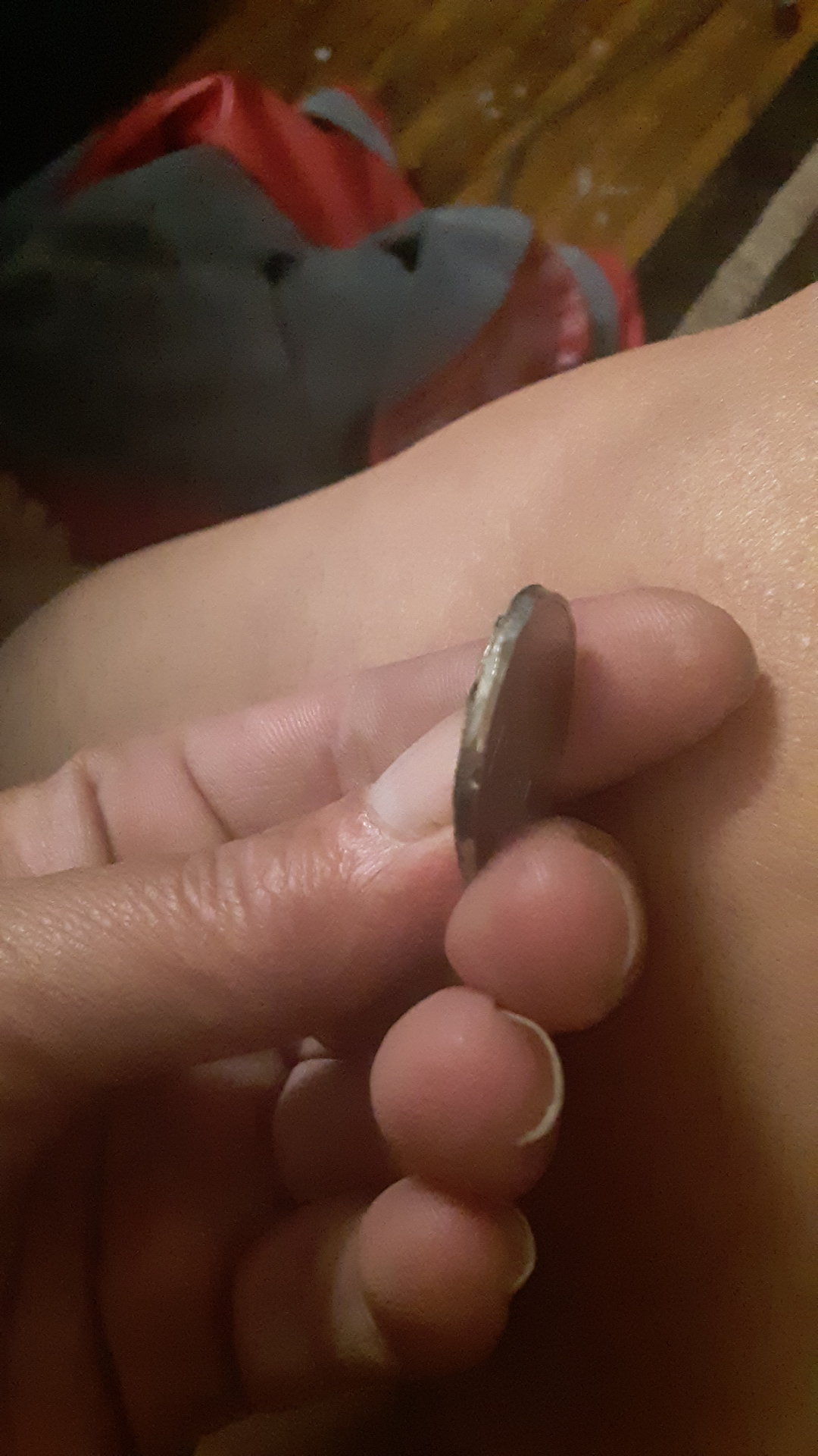 20190727_041257.jpg