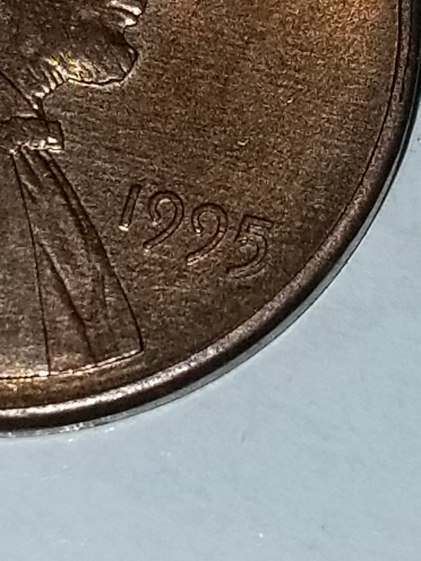 20190729_192816.jpg