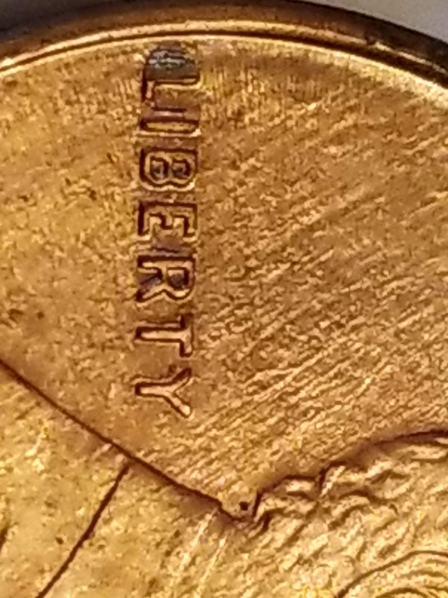 20190729_213113.jpg