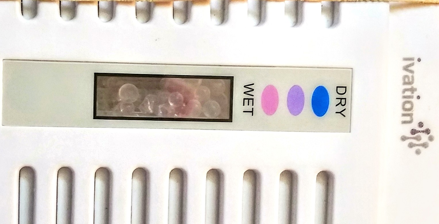 20190731_170727~2.jpg