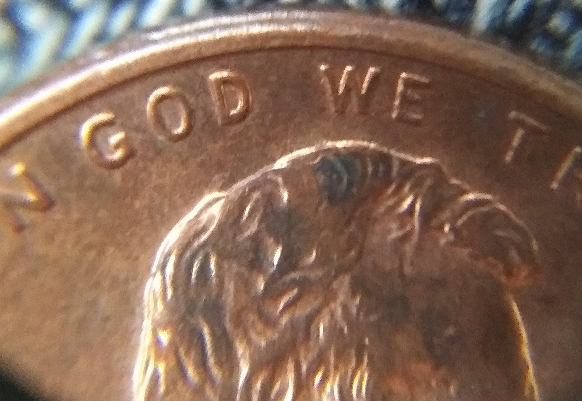 20190808_114405.jpg