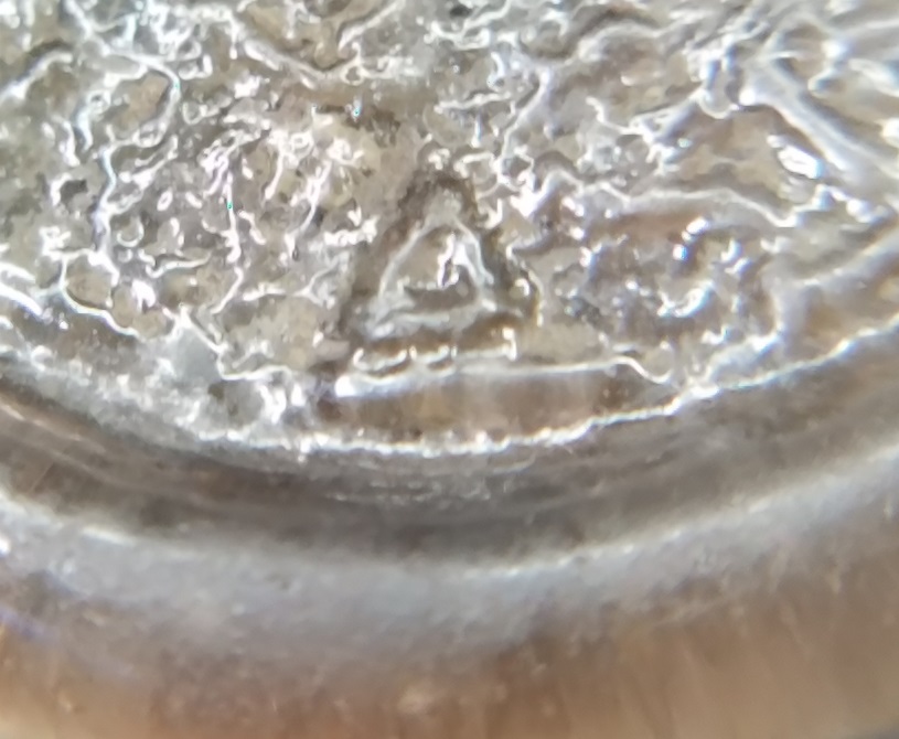 20190808_174222.jpg