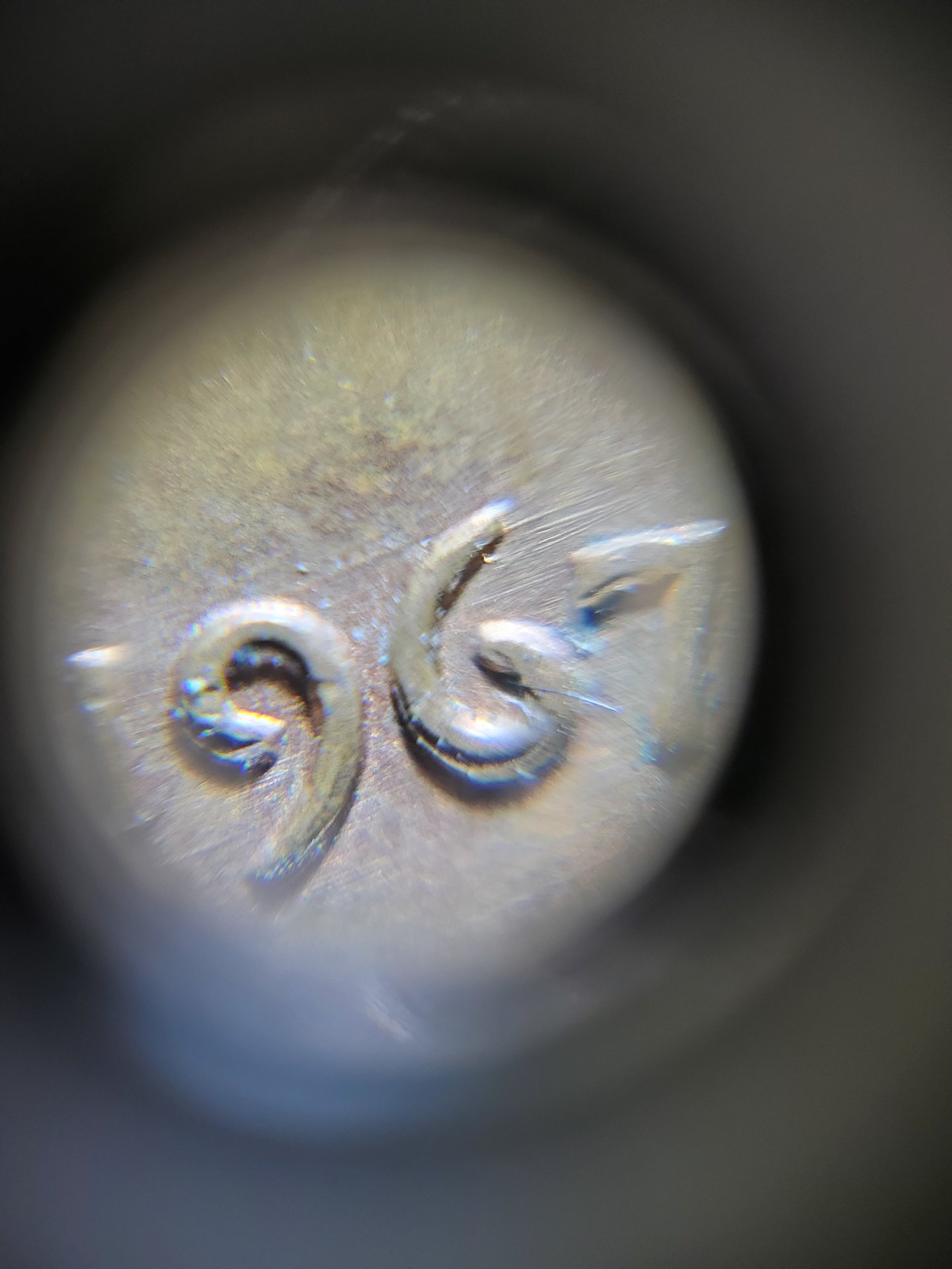 20190810_040311.jpg