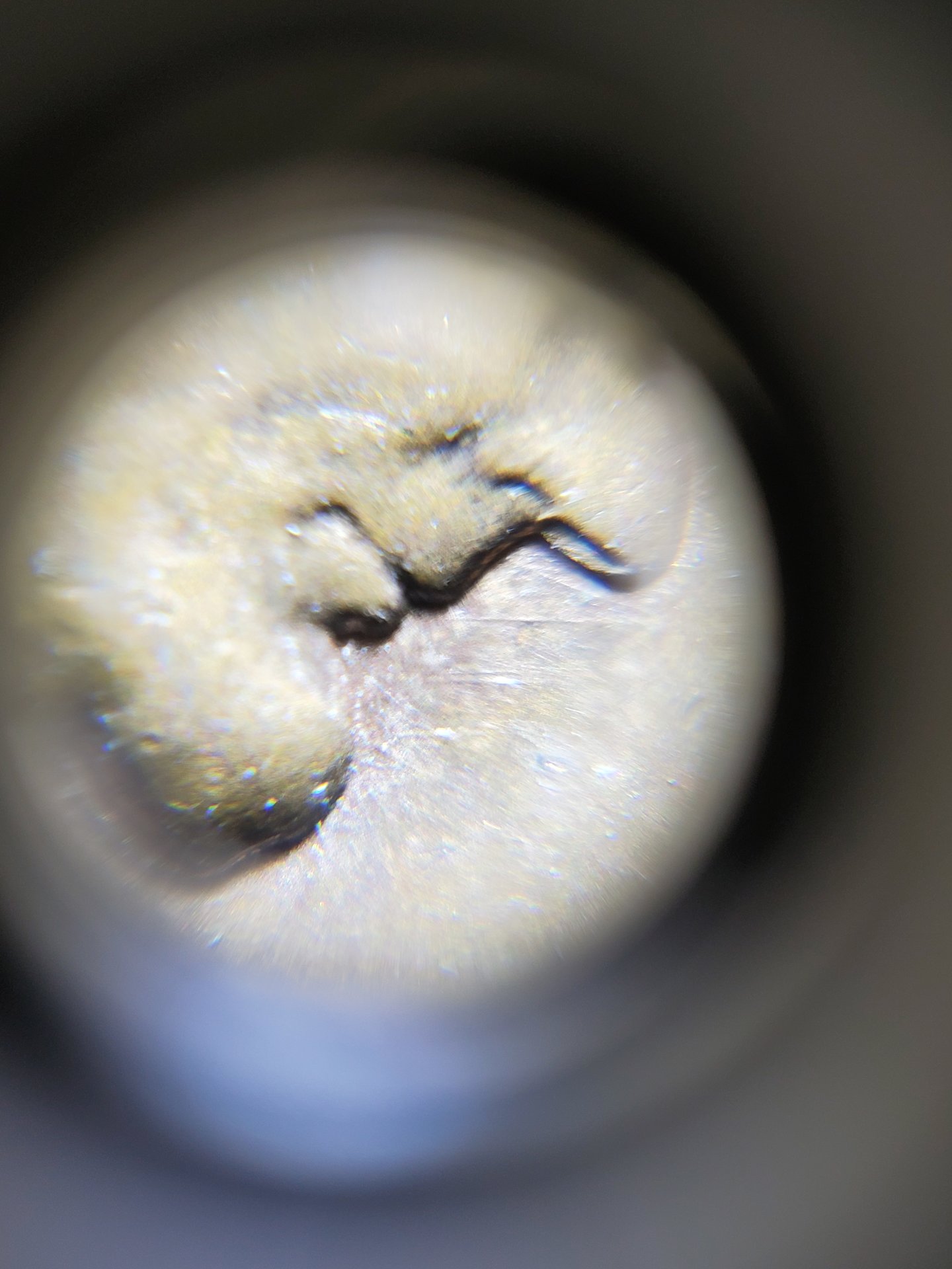 20190810_040425.jpg