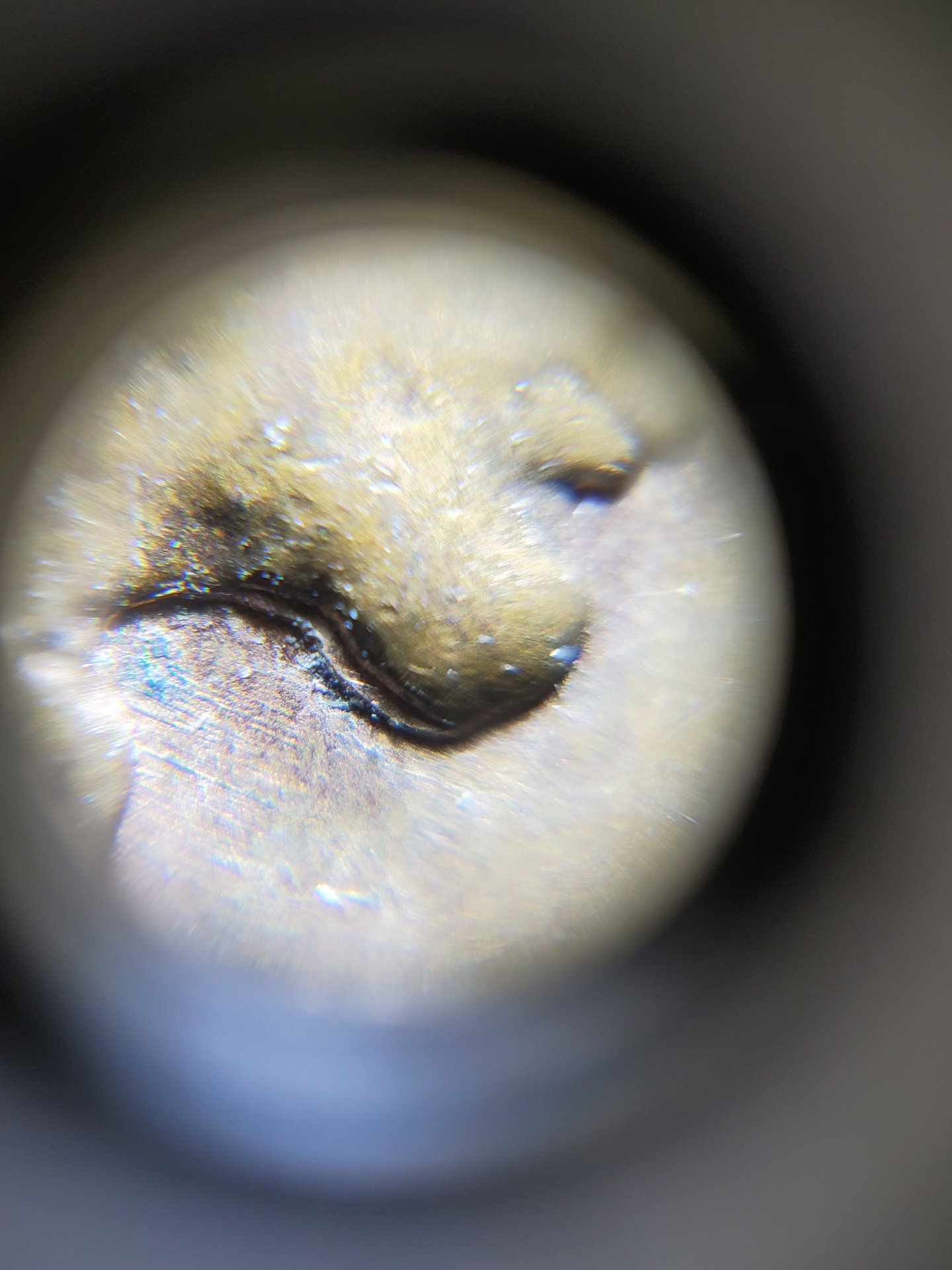 20190810_040435.jpg