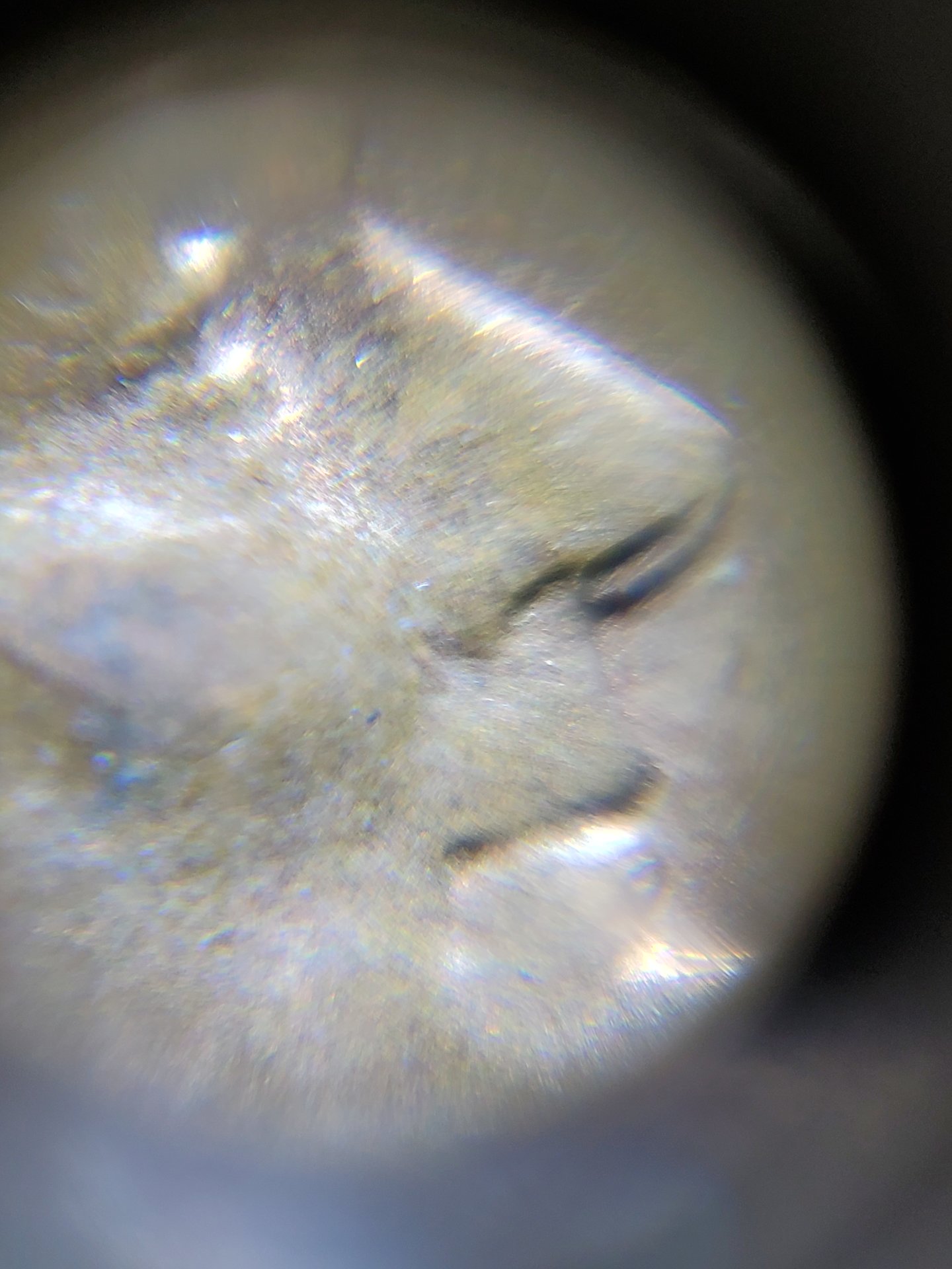 20190810_040707.jpg