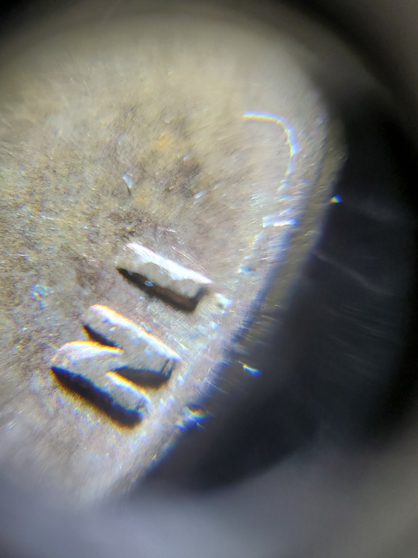 20190810_040943.jpg