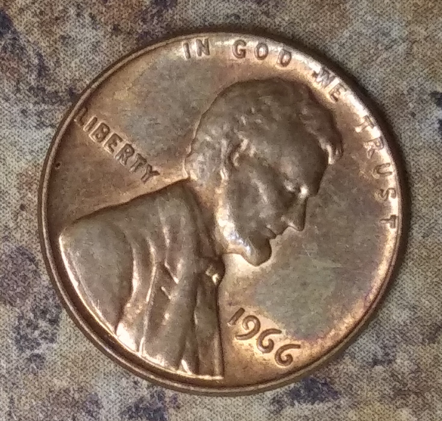 20190810_151652.jpg
