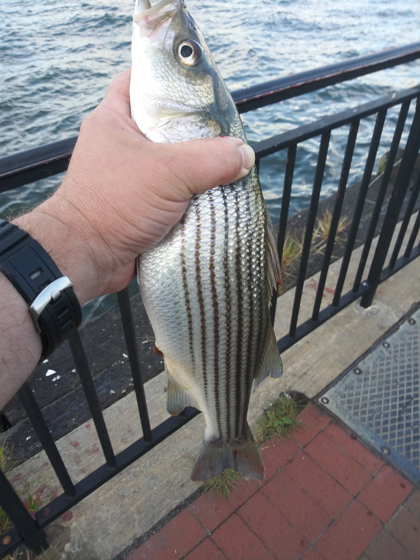 20190810_191349.jpg