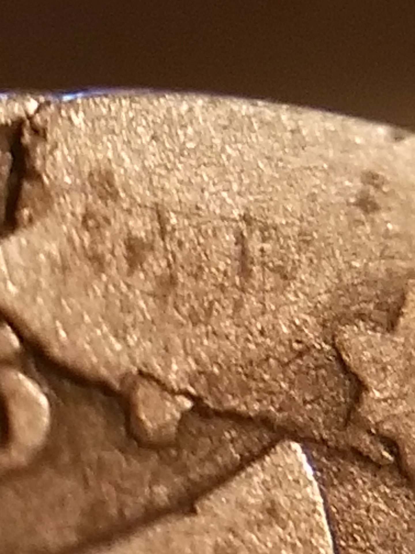 20190813_050026.jpg