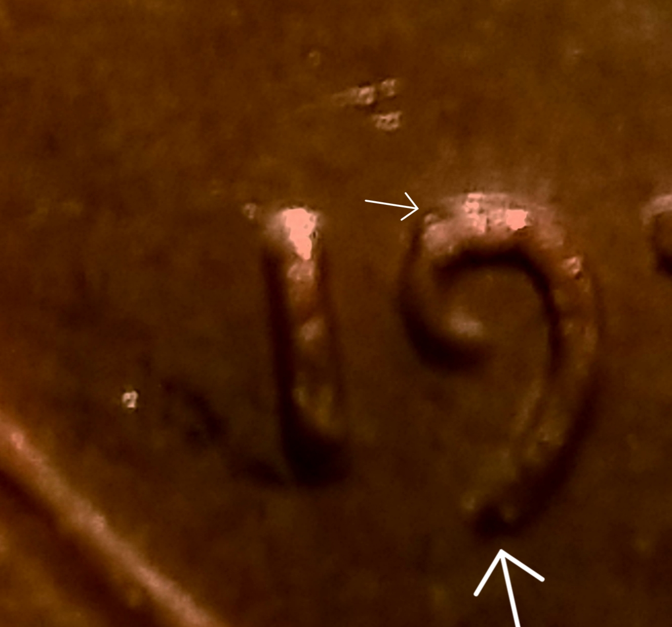 20190813_070917.jpg