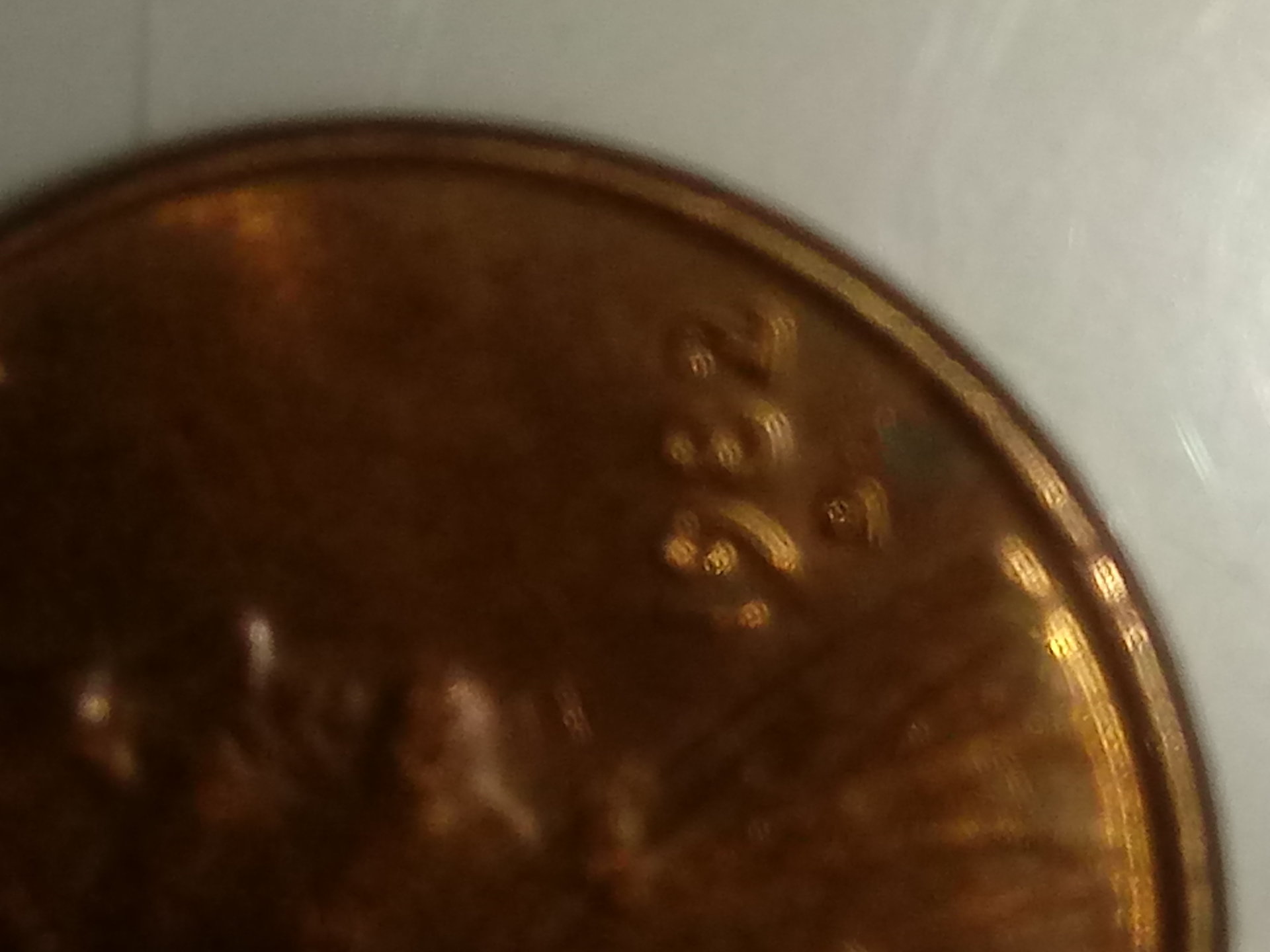 20190814_101909.jpg