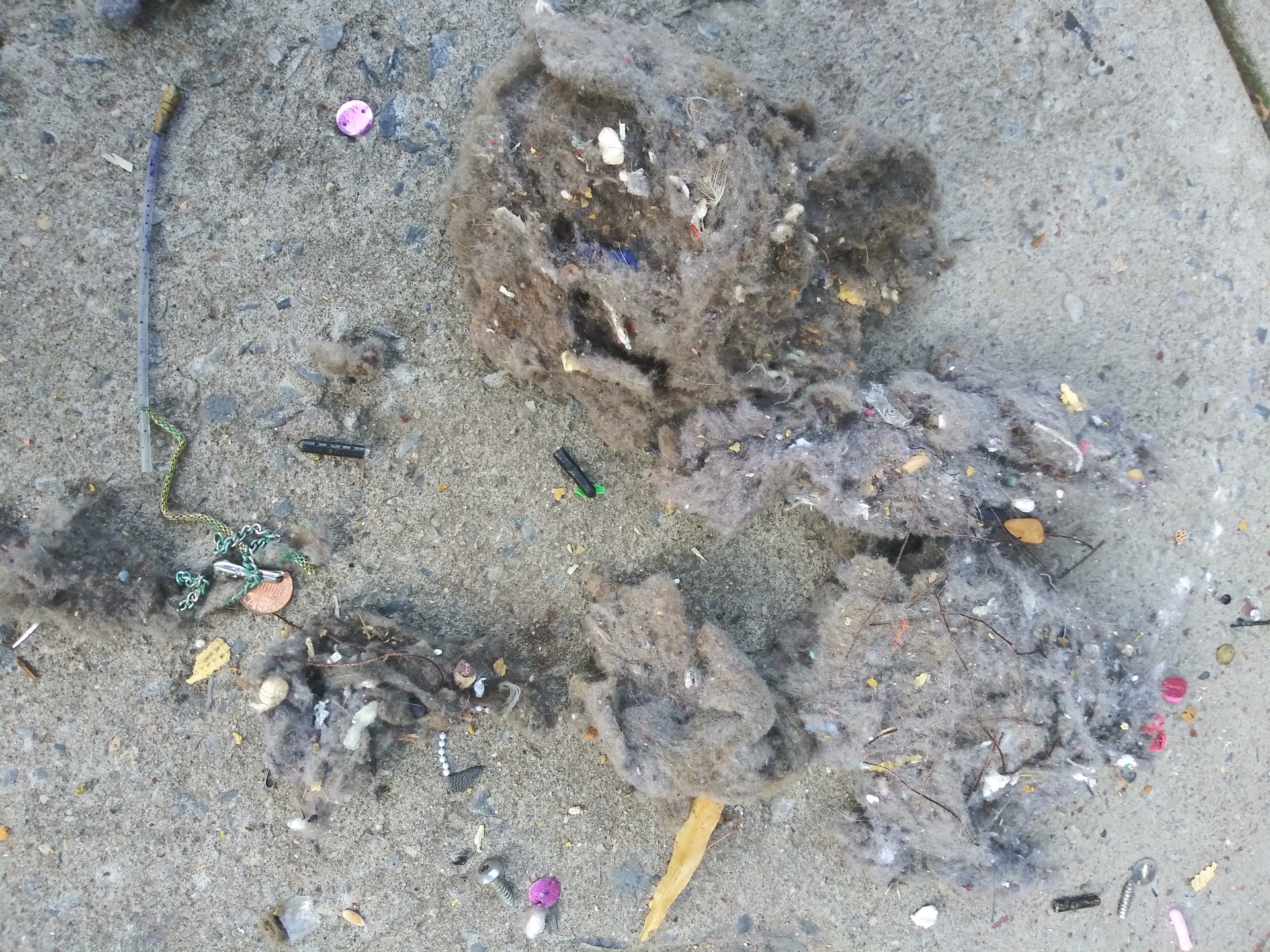 20190815_165549.jpg