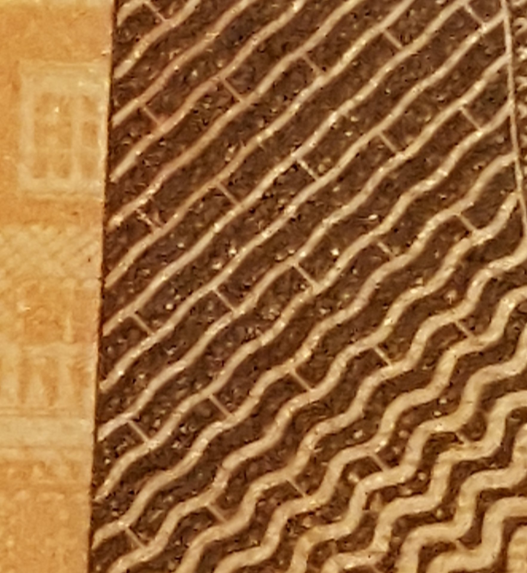 20190816_022800_004 (2).jpg