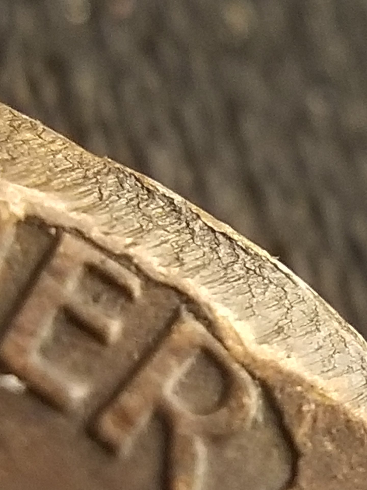20190816_182637.jpg