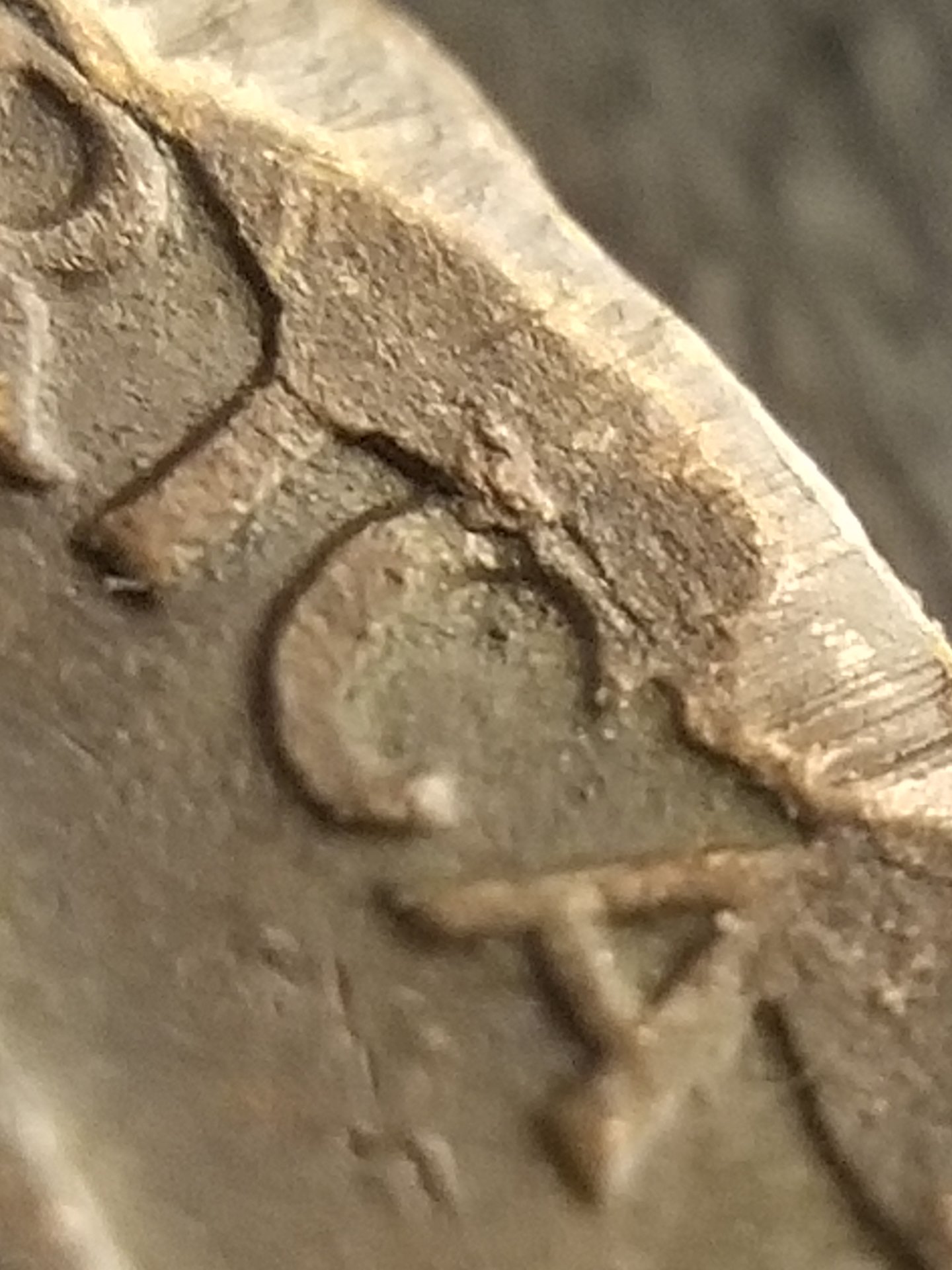 20190816_182648.jpg