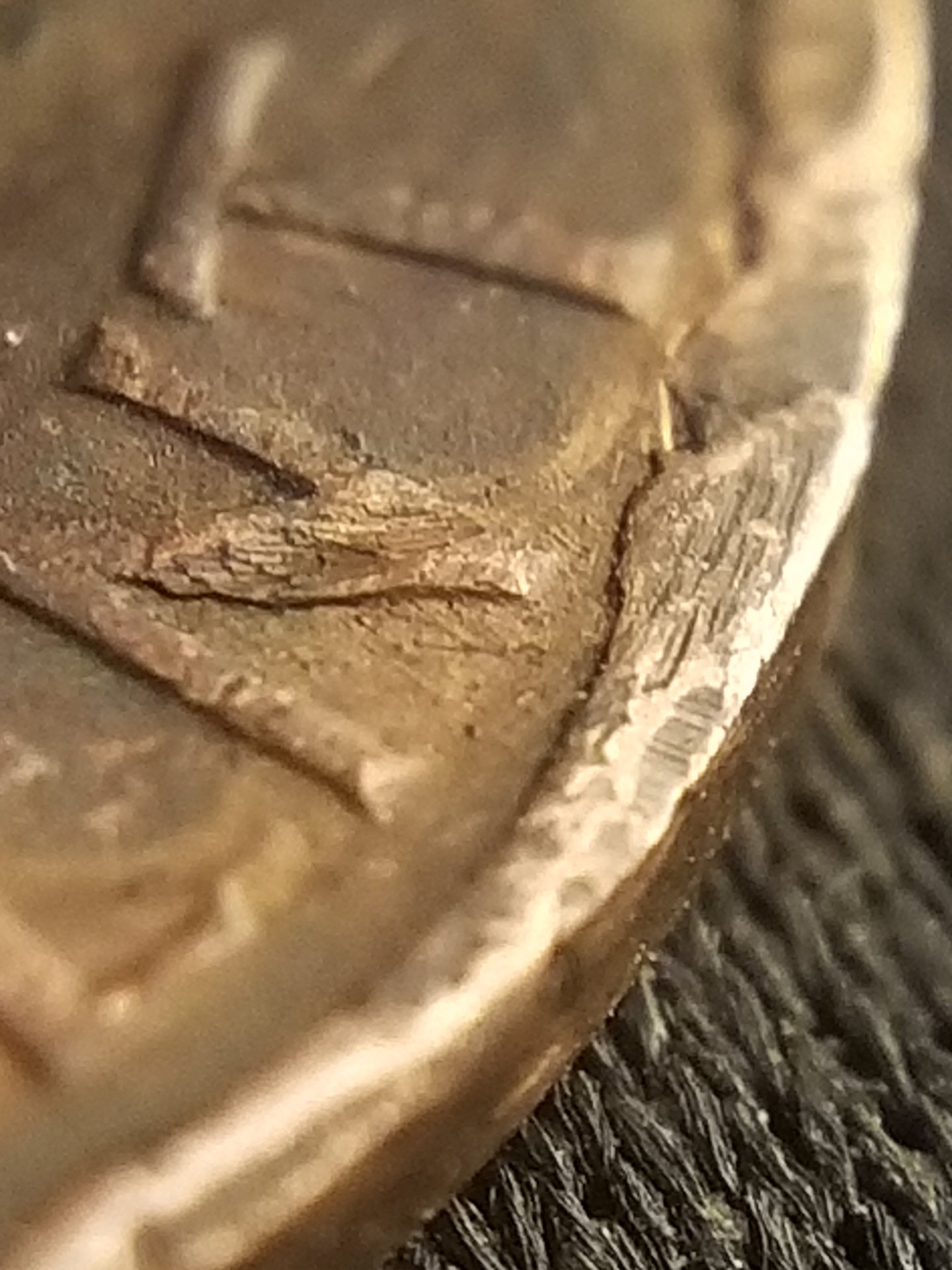 20190816_182724.jpg