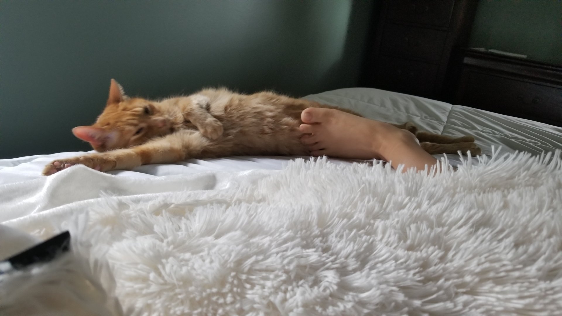 20190818_130022 Copy.jpg