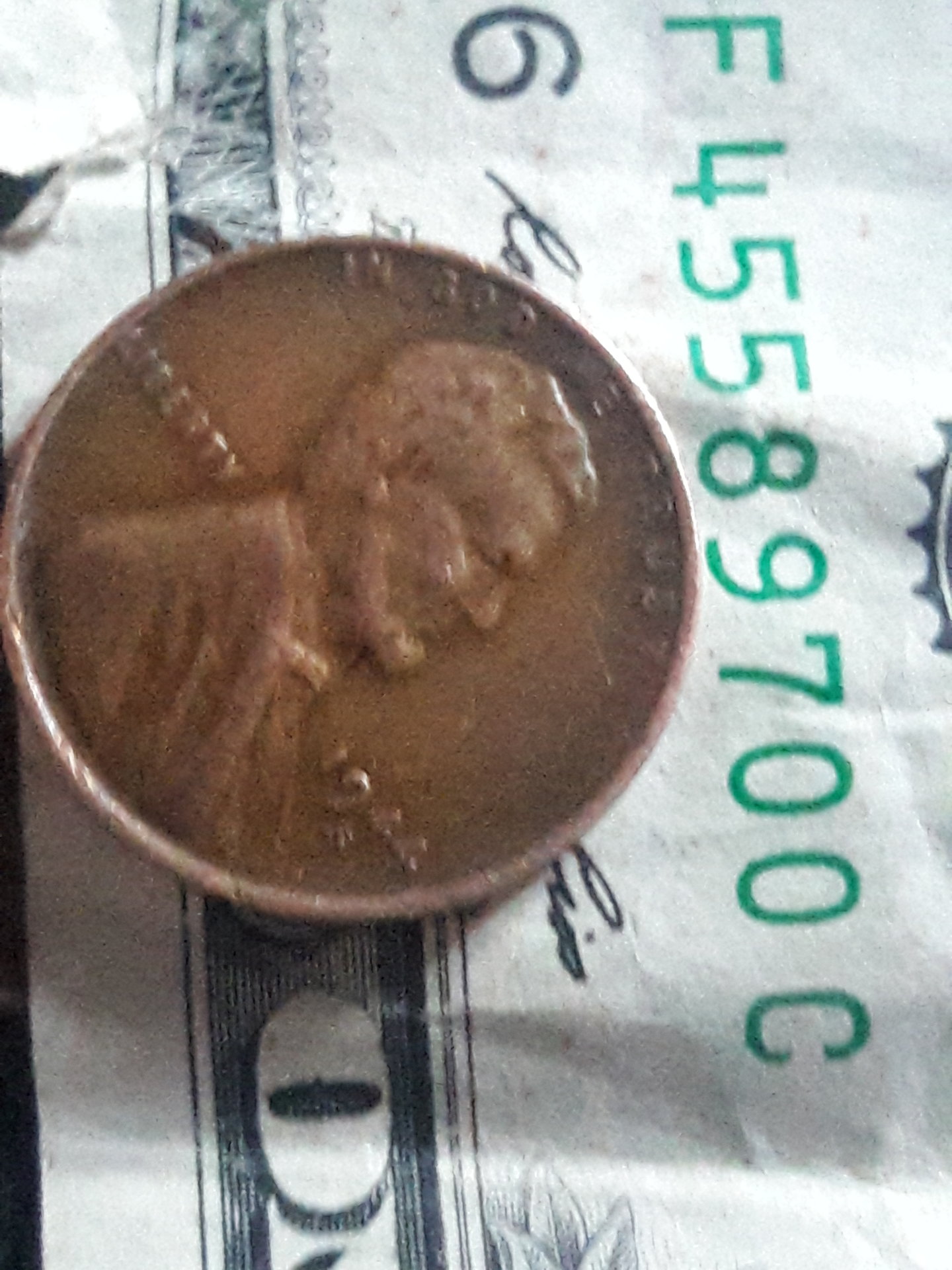 20190821_072012.jpg