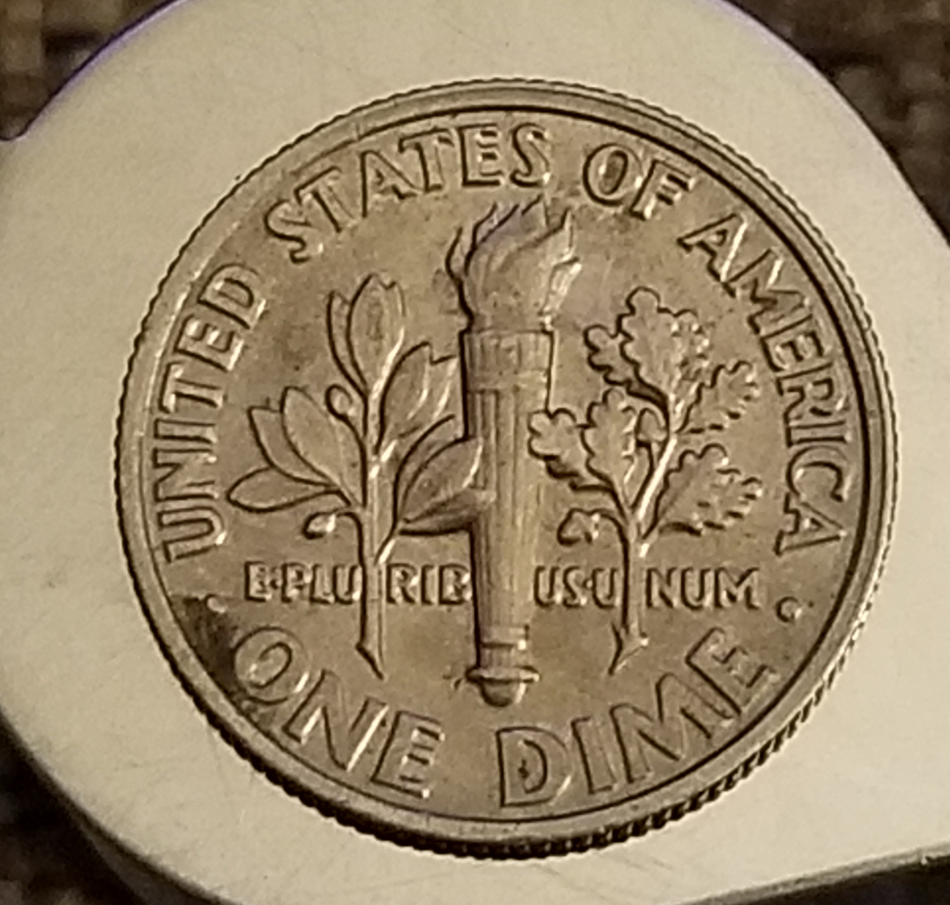20190902_131512.jpg