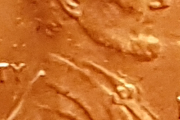 20190905_123726.jpg
