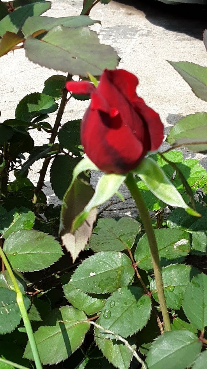 20190912_134835.jpg