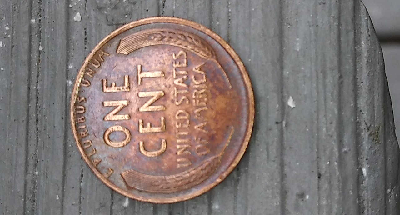 20190914_121007-0.jpg