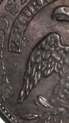 20190922_103839.jpg
