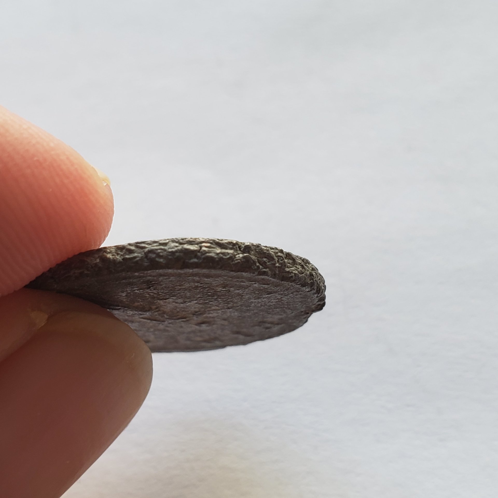 20190927_134253.jpg