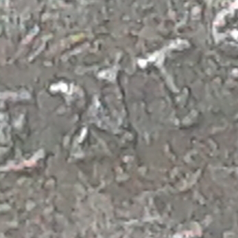 20191003_130853.jpg