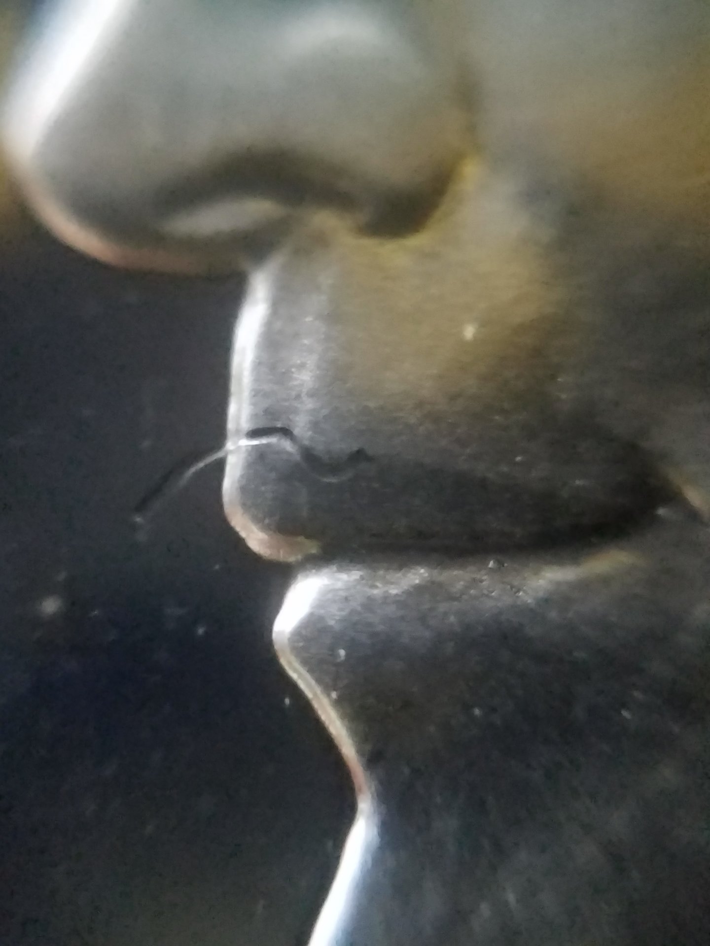 20191006_102759.jpg