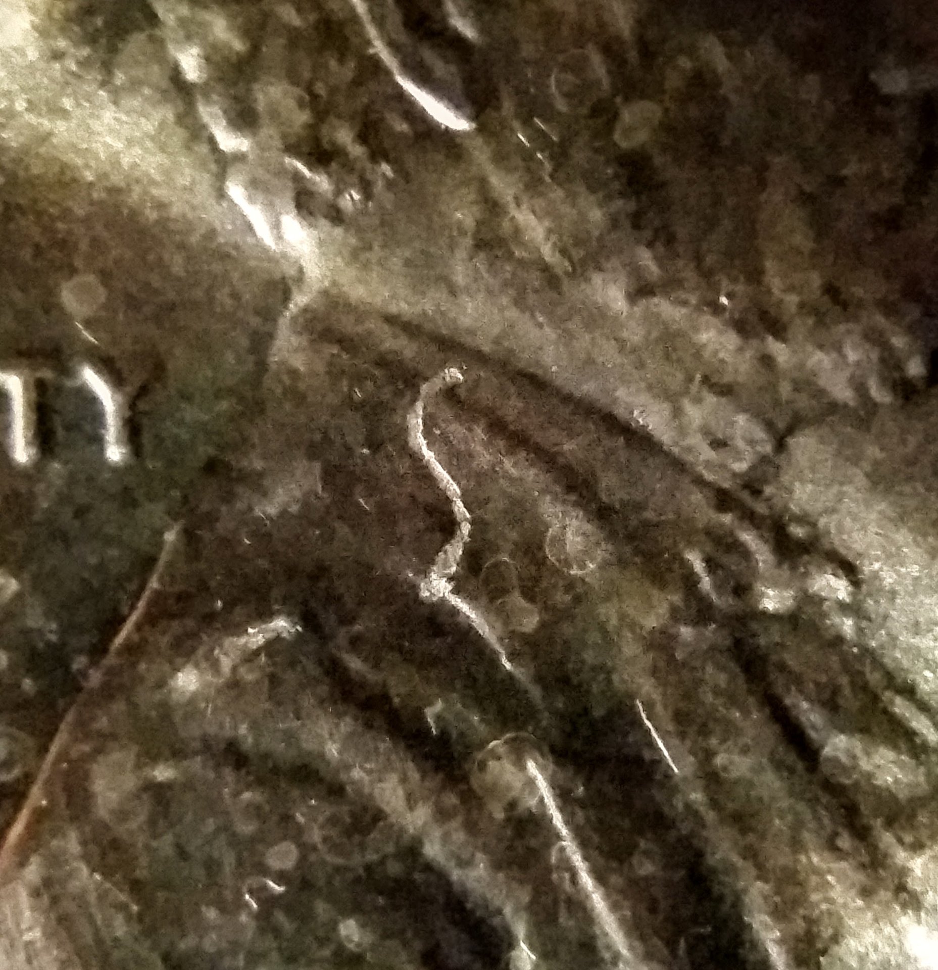 20191009_210647.jpg