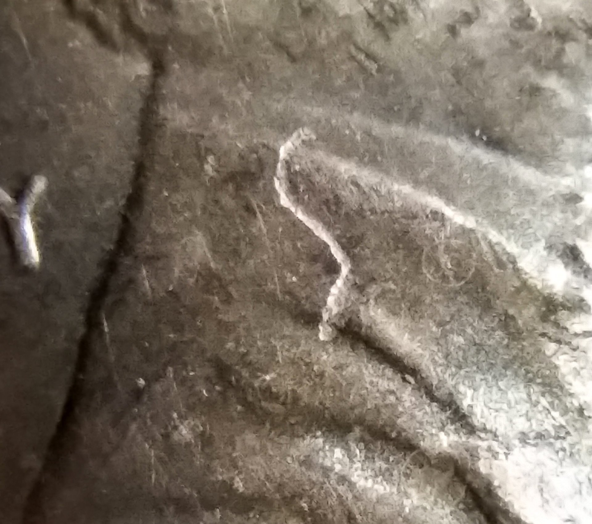 20191009_211011.jpg