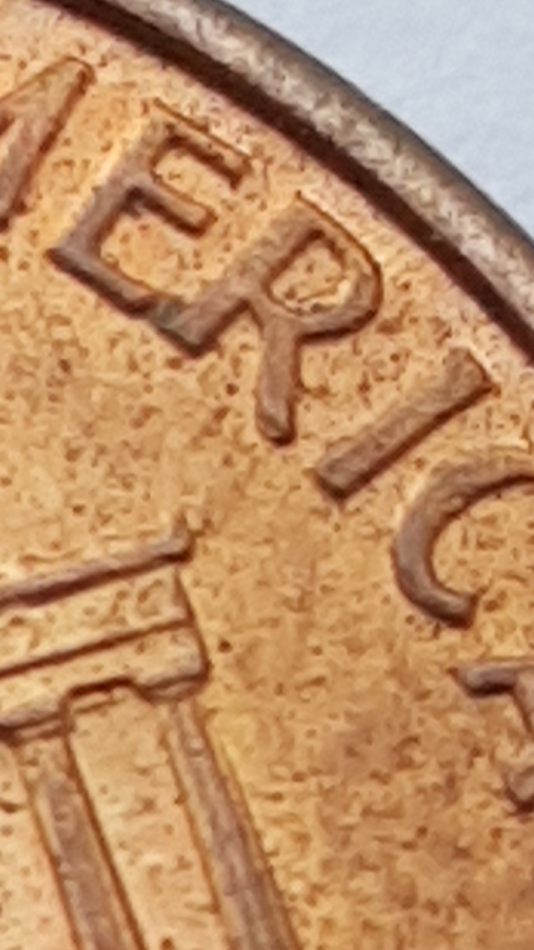 20191014_171936.jpg