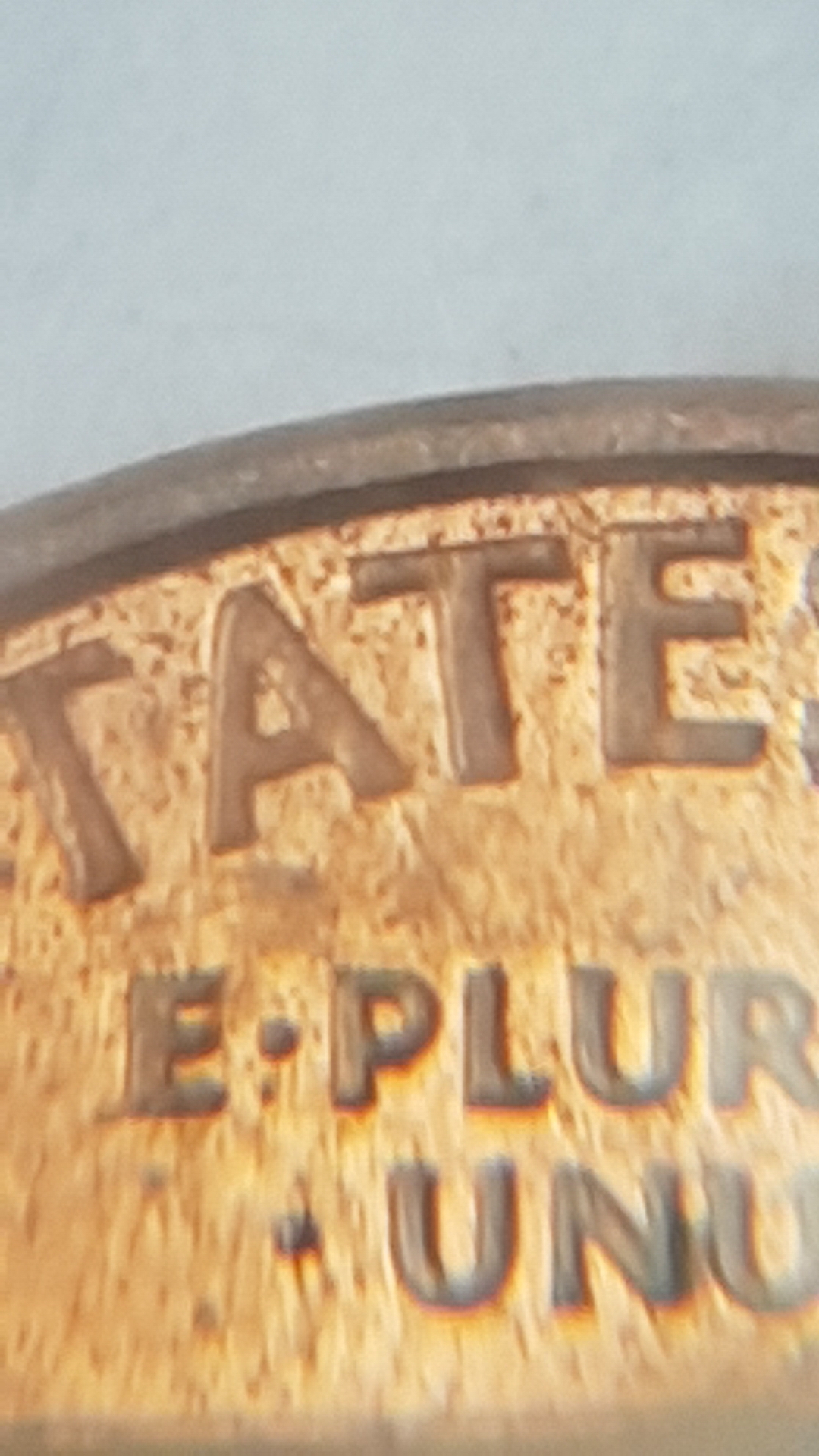 20191014_172407.jpg