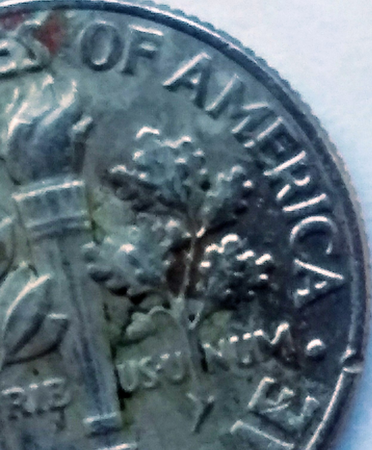 20191017_164208-1.jpg