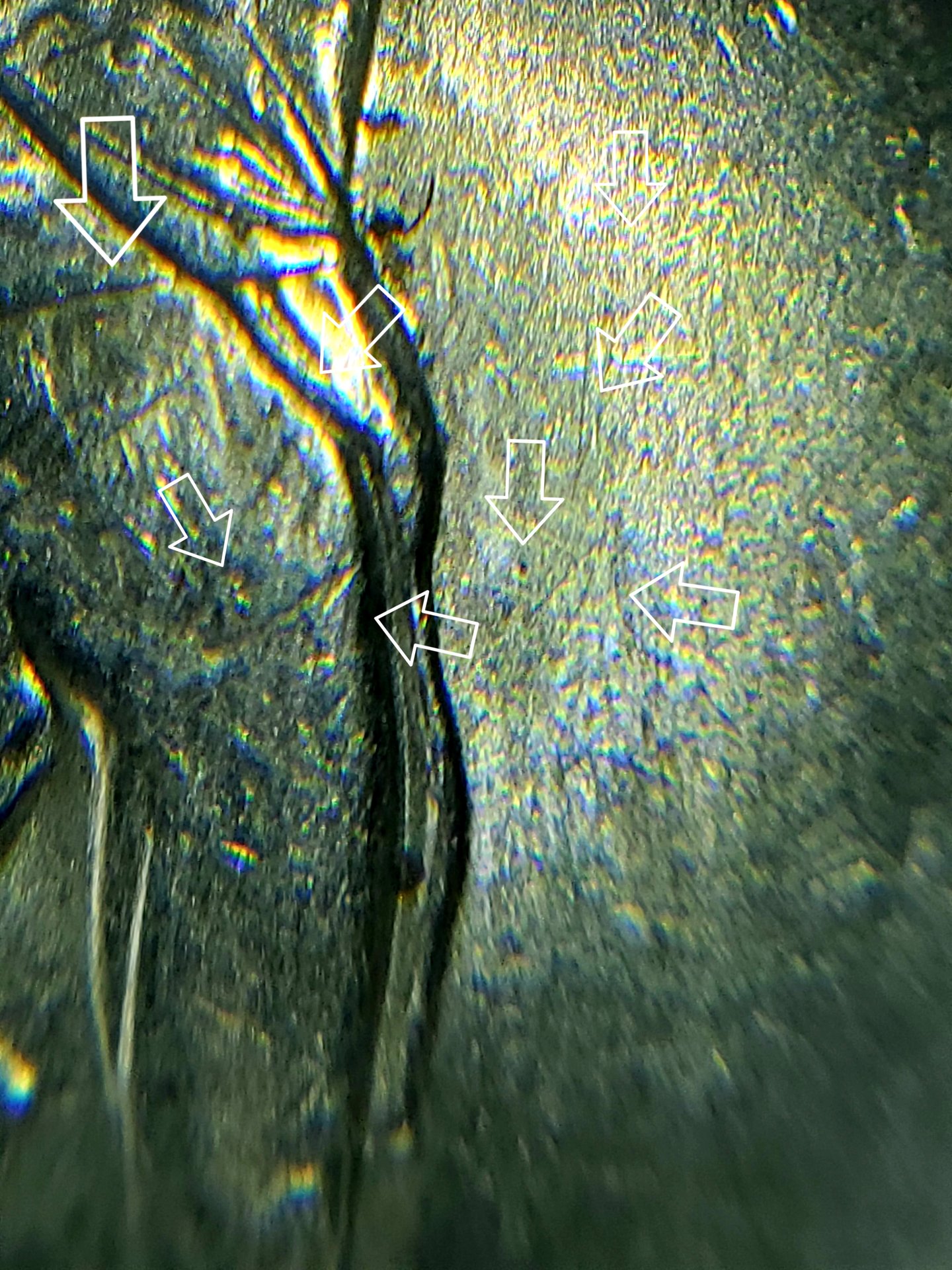 20191022_010049.jpg