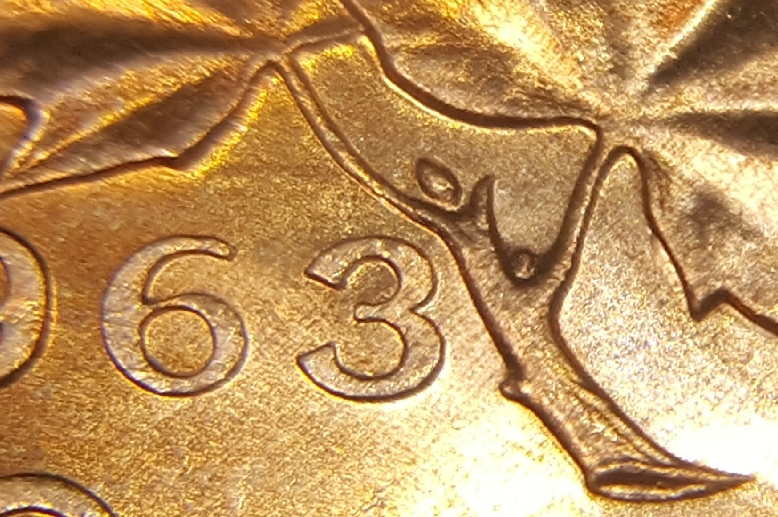 20191023_161243.jpg