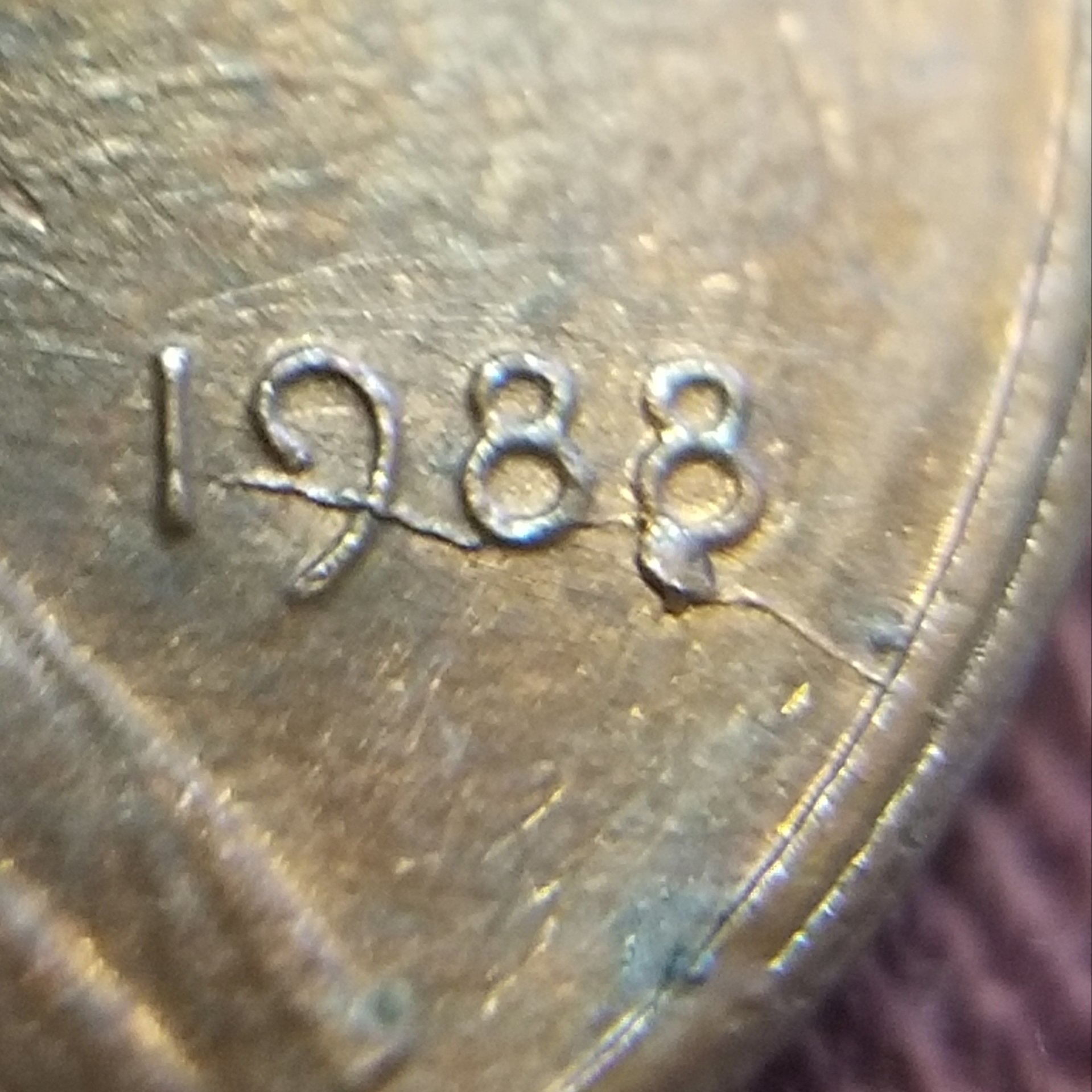 20191024_165216.jpg