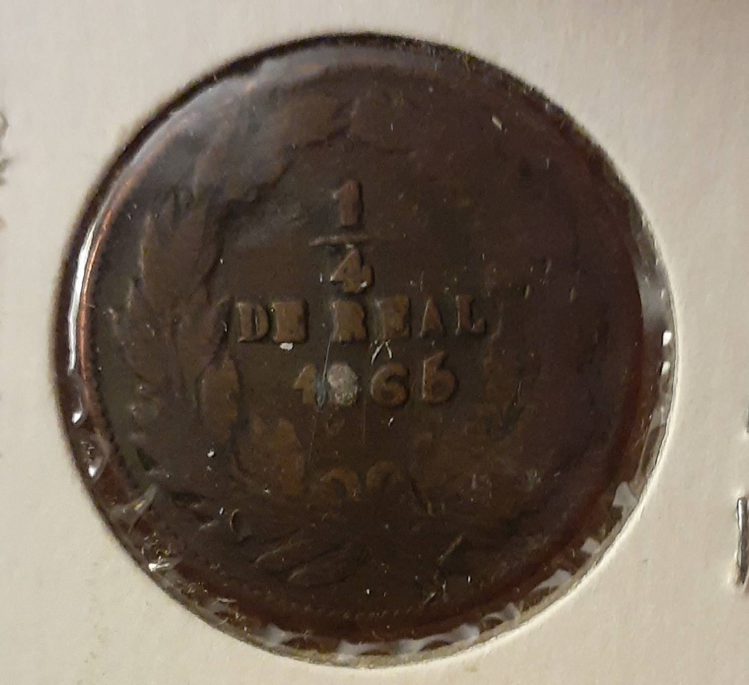 20191024_215604.jpg
