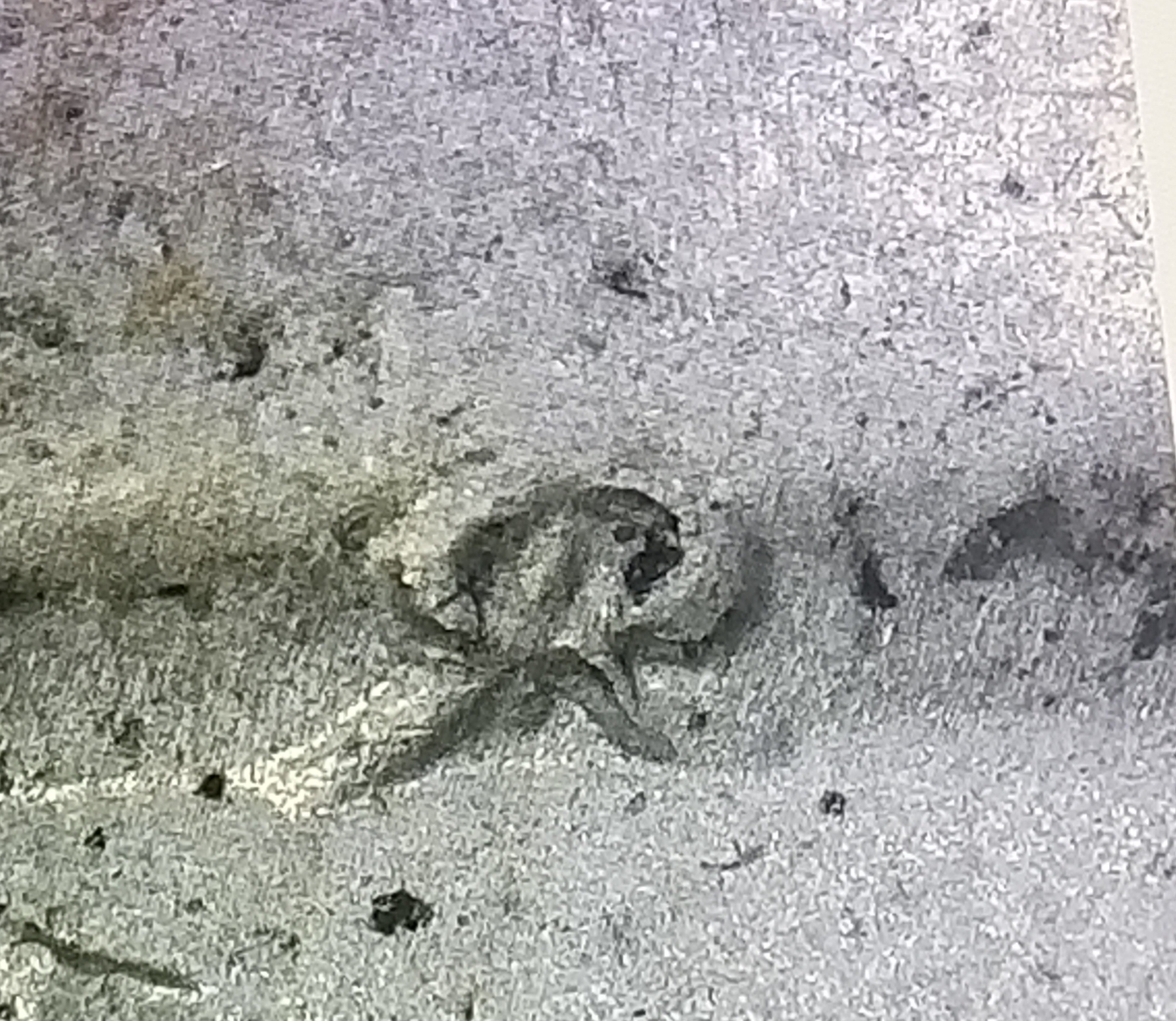 20191026_105458.jpg